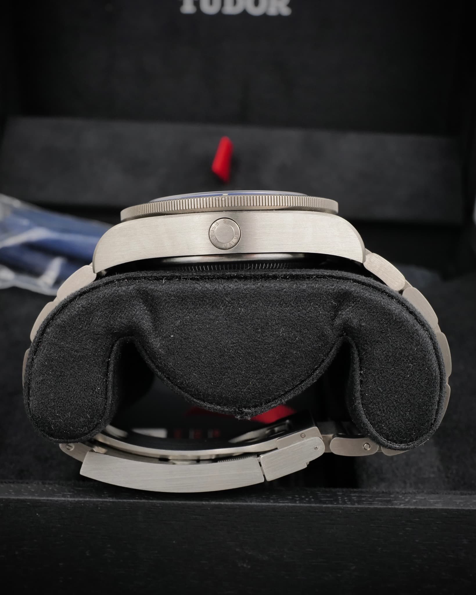 Tudor Pelagos — photo 4