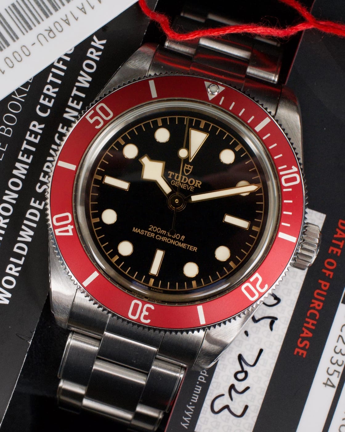 Tudor Black Bay