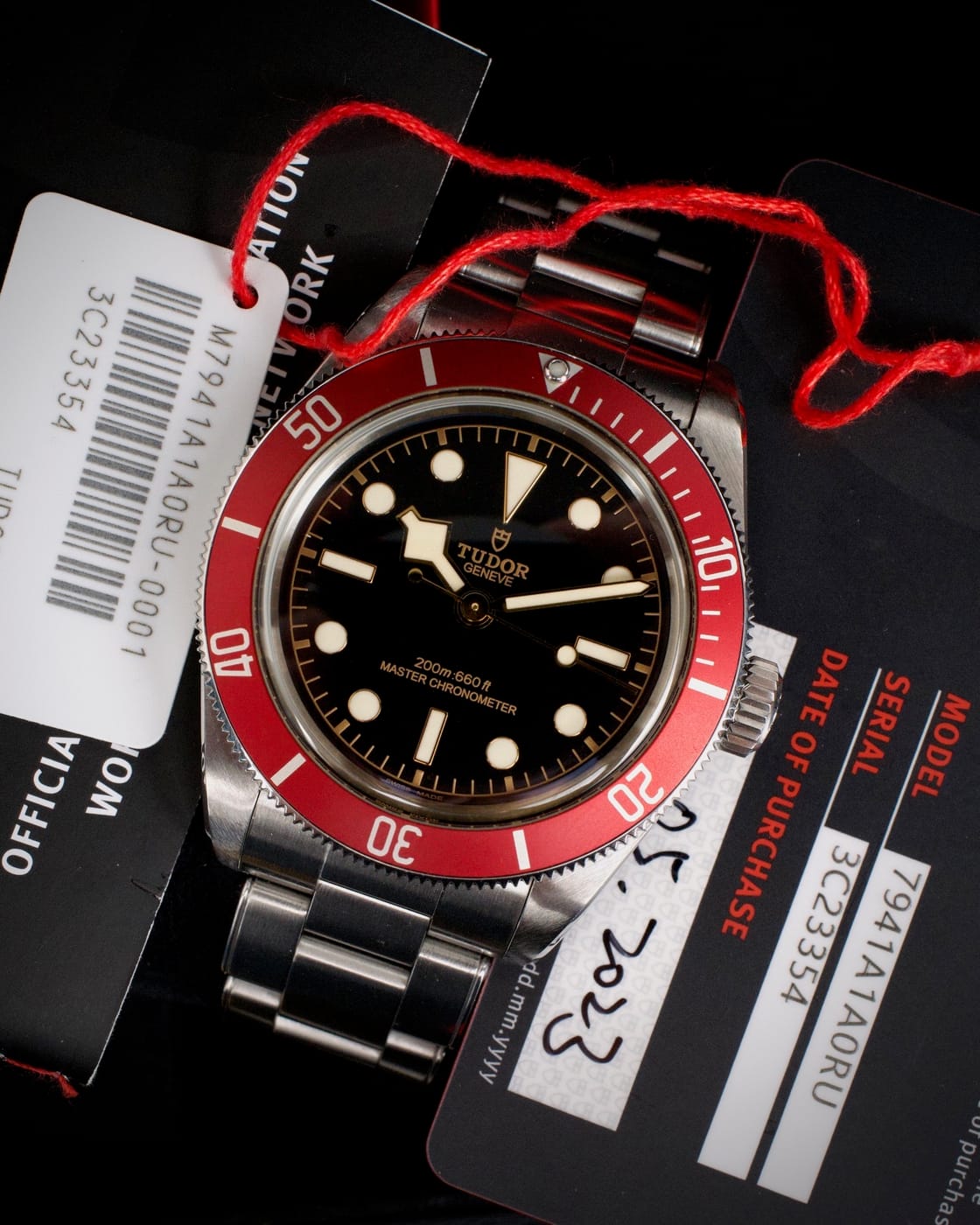 Tudor Black Bay — photo 2