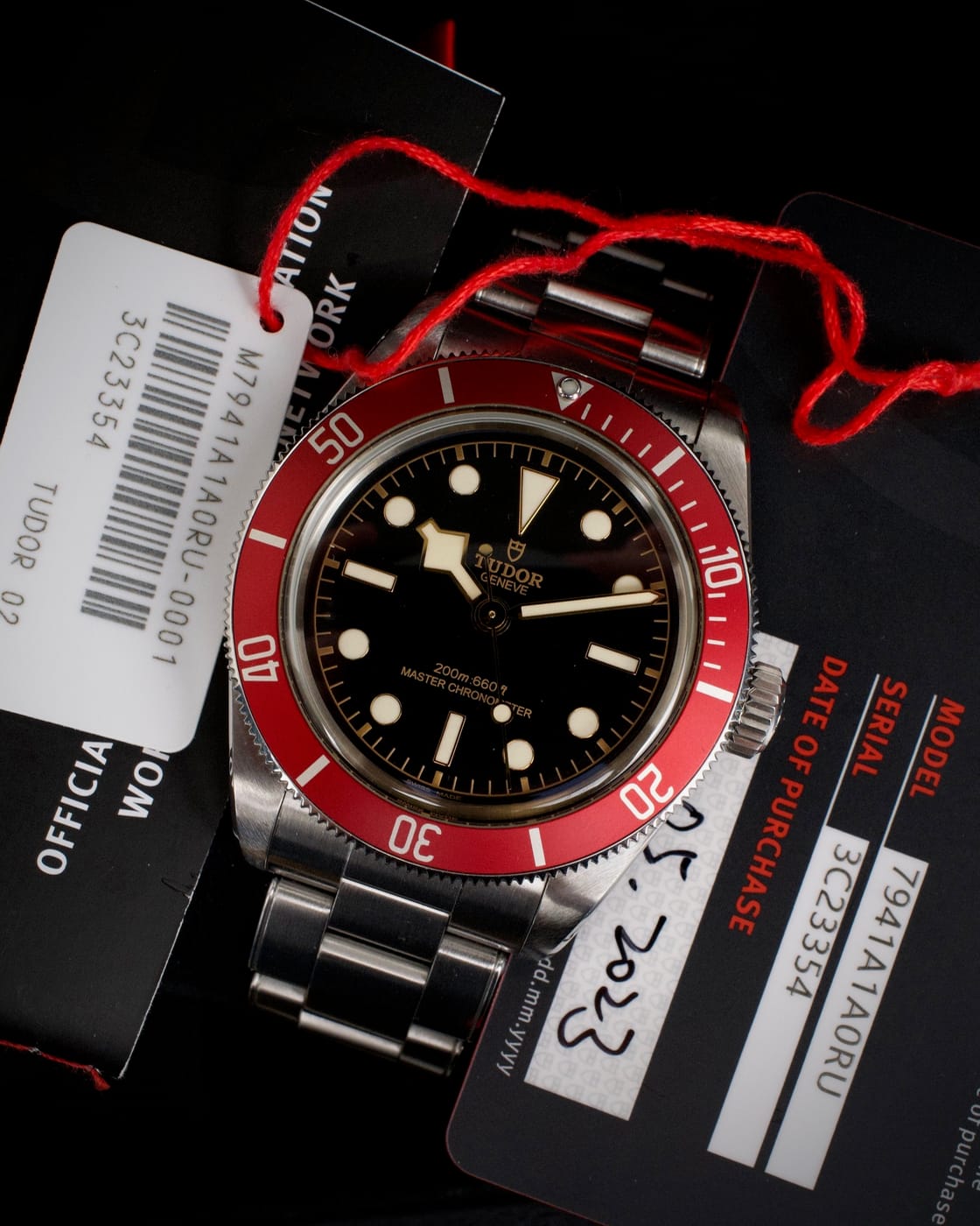 Tudor Black Bay — photo 3