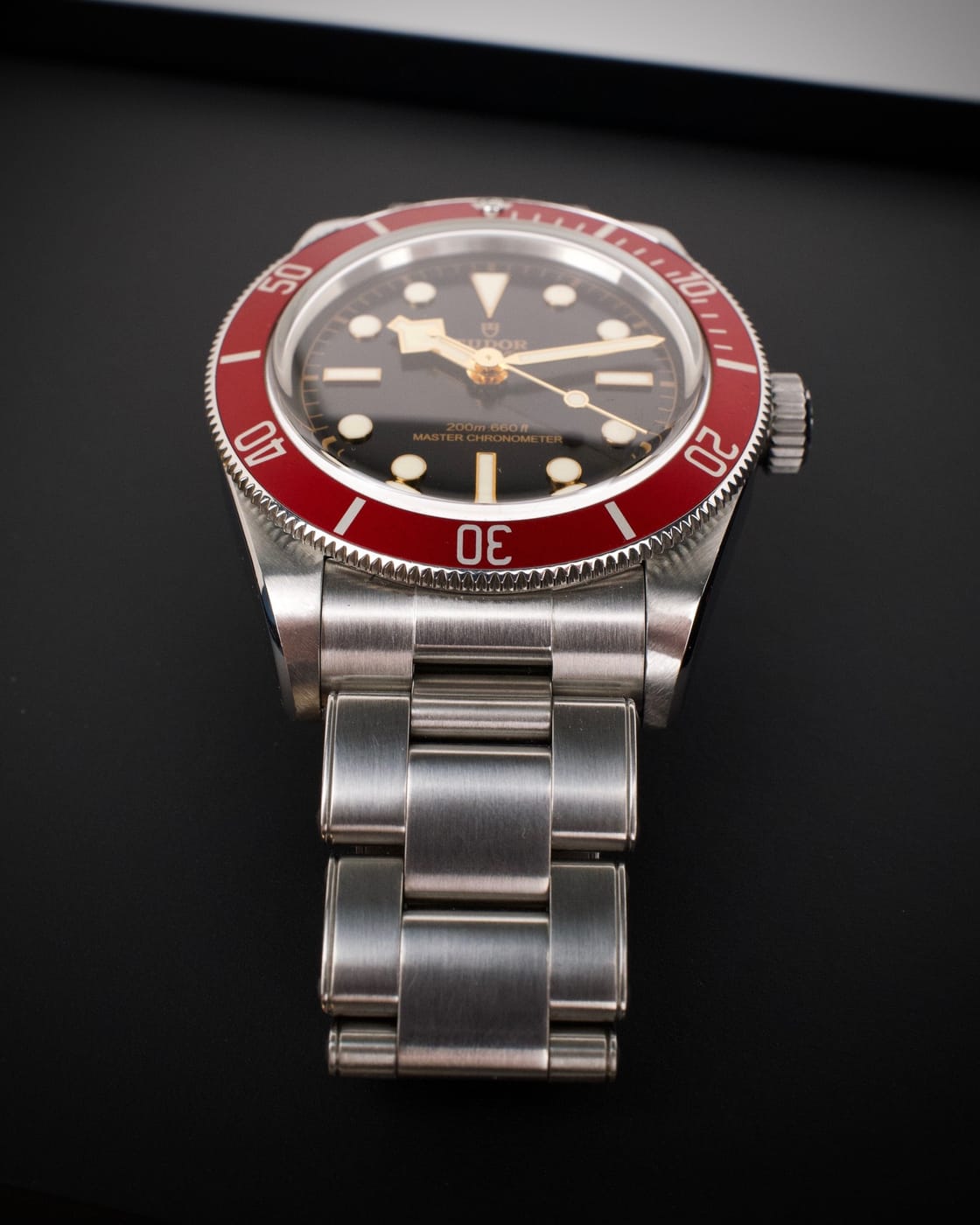 Tudor Black Bay — photo 4