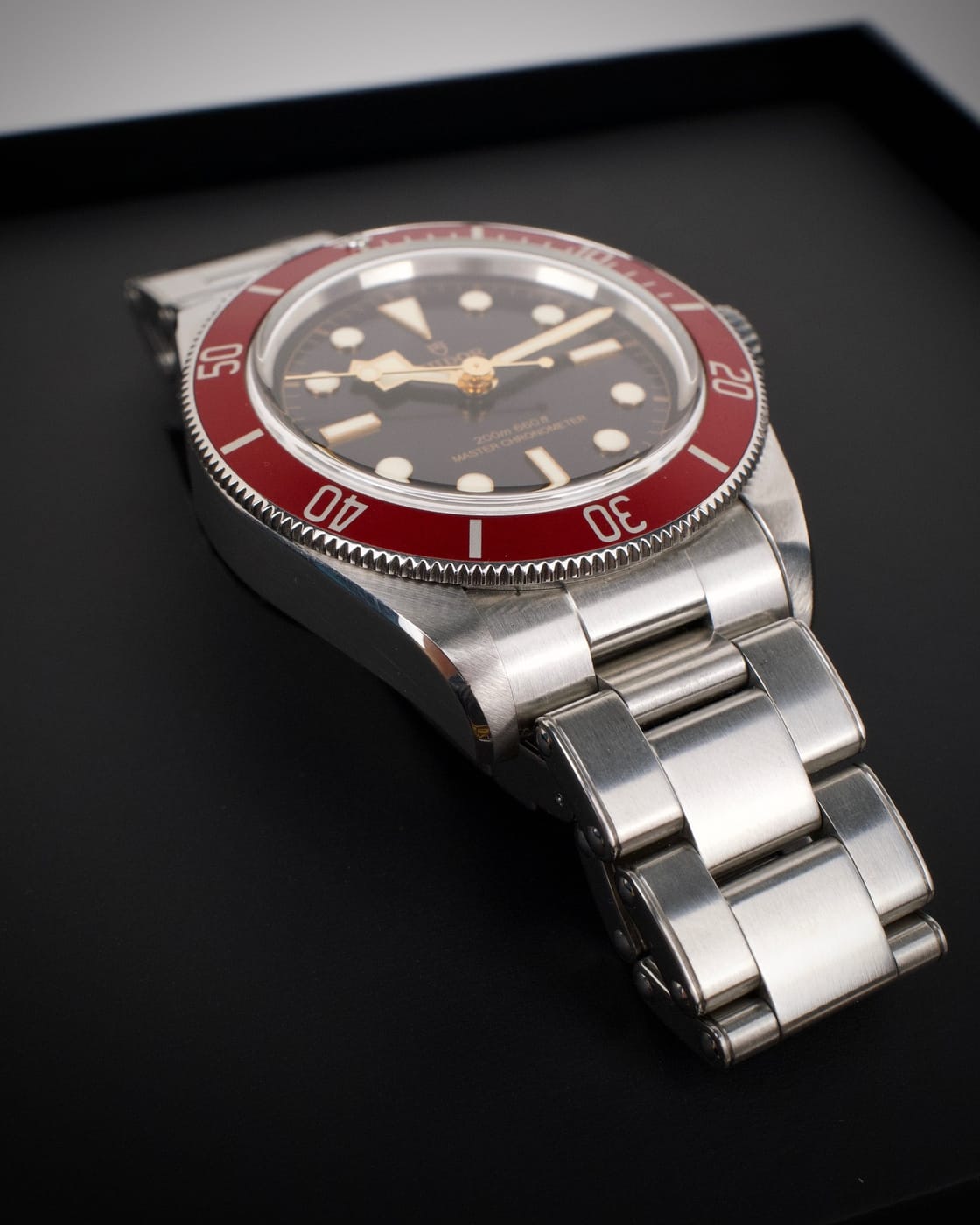 Tudor Black Bay — photo 6