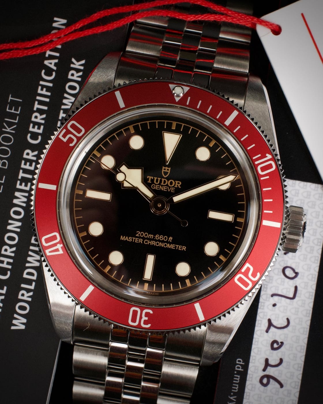 Tudor Black Bay