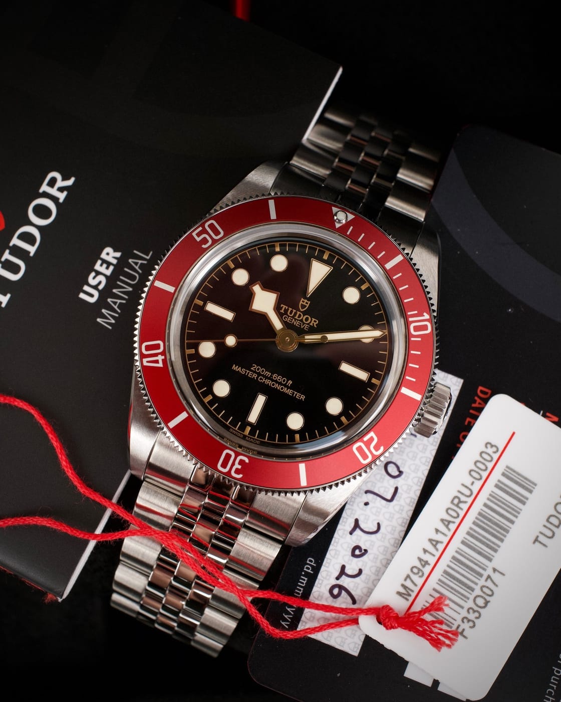 Tudor Black Bay — photo 3