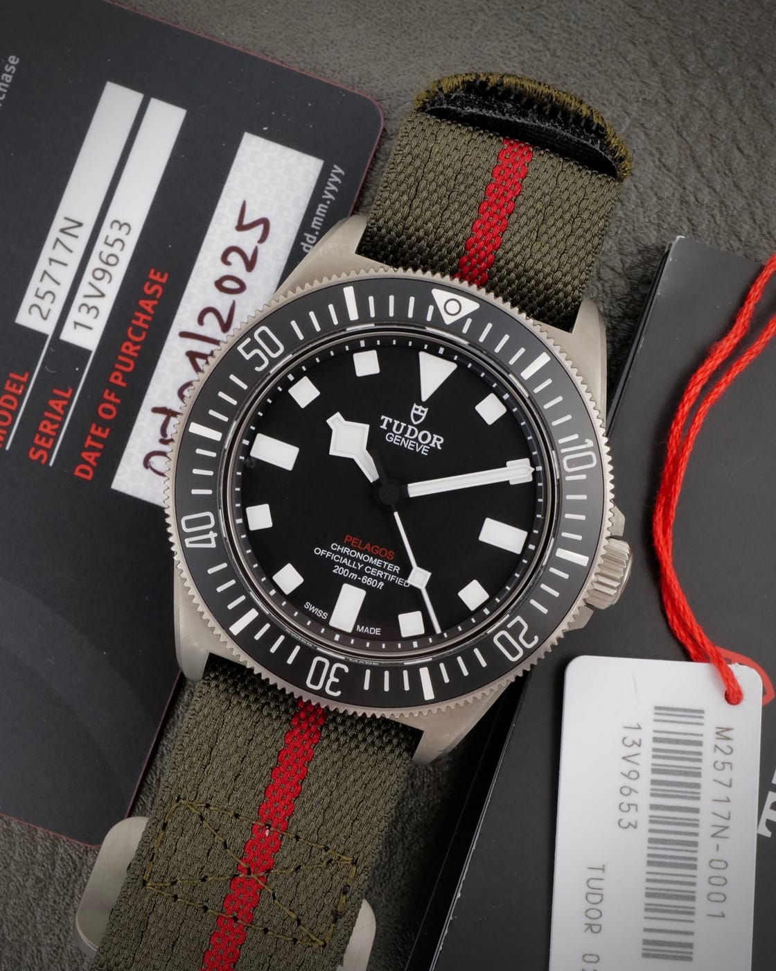 Tudor Pelagos FXD — photo 8
