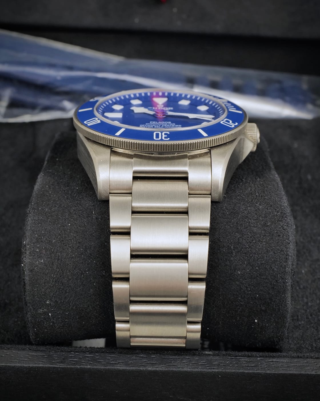 Tudor Pelagos — photo 5