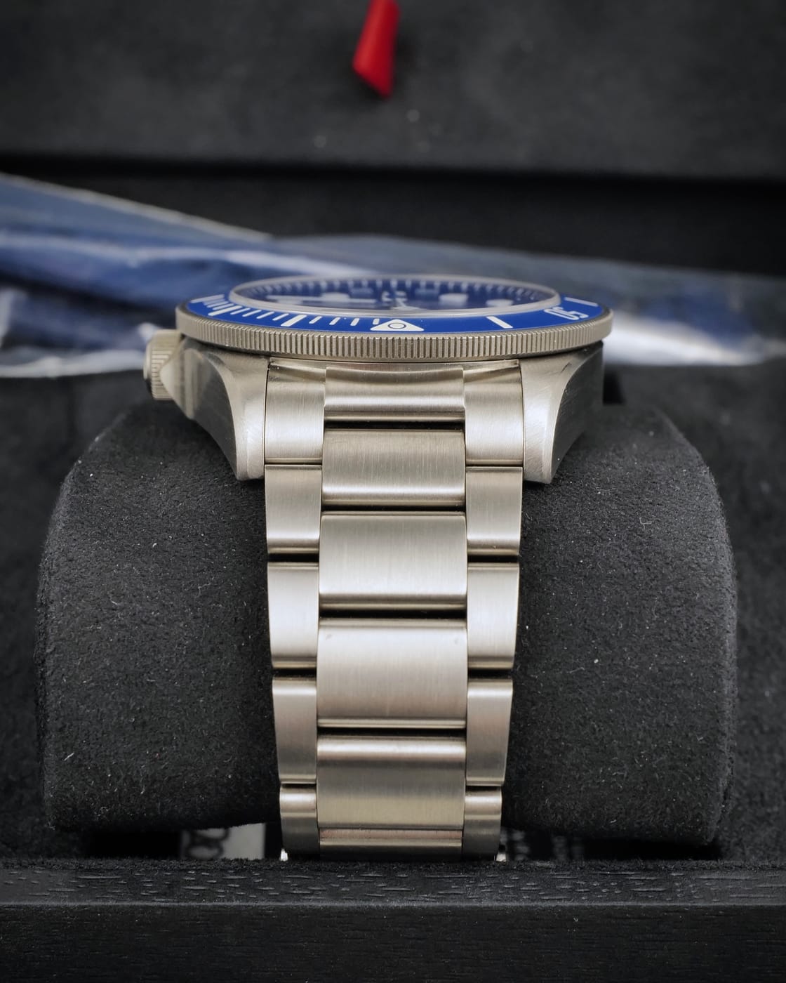 Tudor Pelagos — photo 6