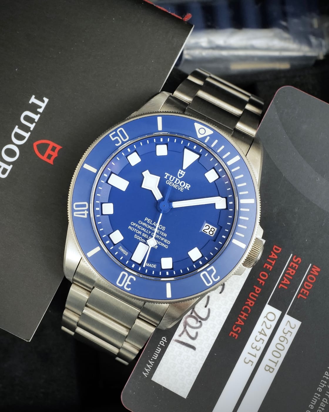 Tudor Pelagos — photo 8